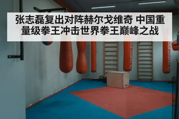 张志磊复出对阵赫尔戈维奇 中国重量级拳王冲击世界拳王巅峰之战